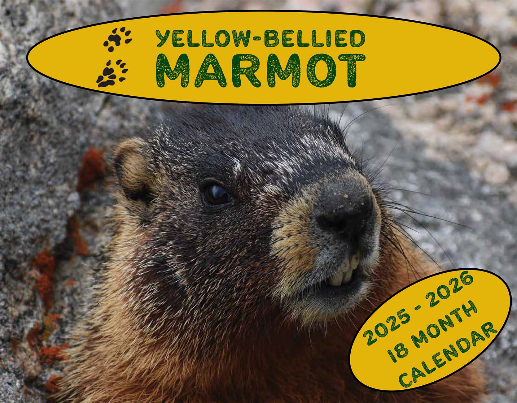 Marmots wall calendar